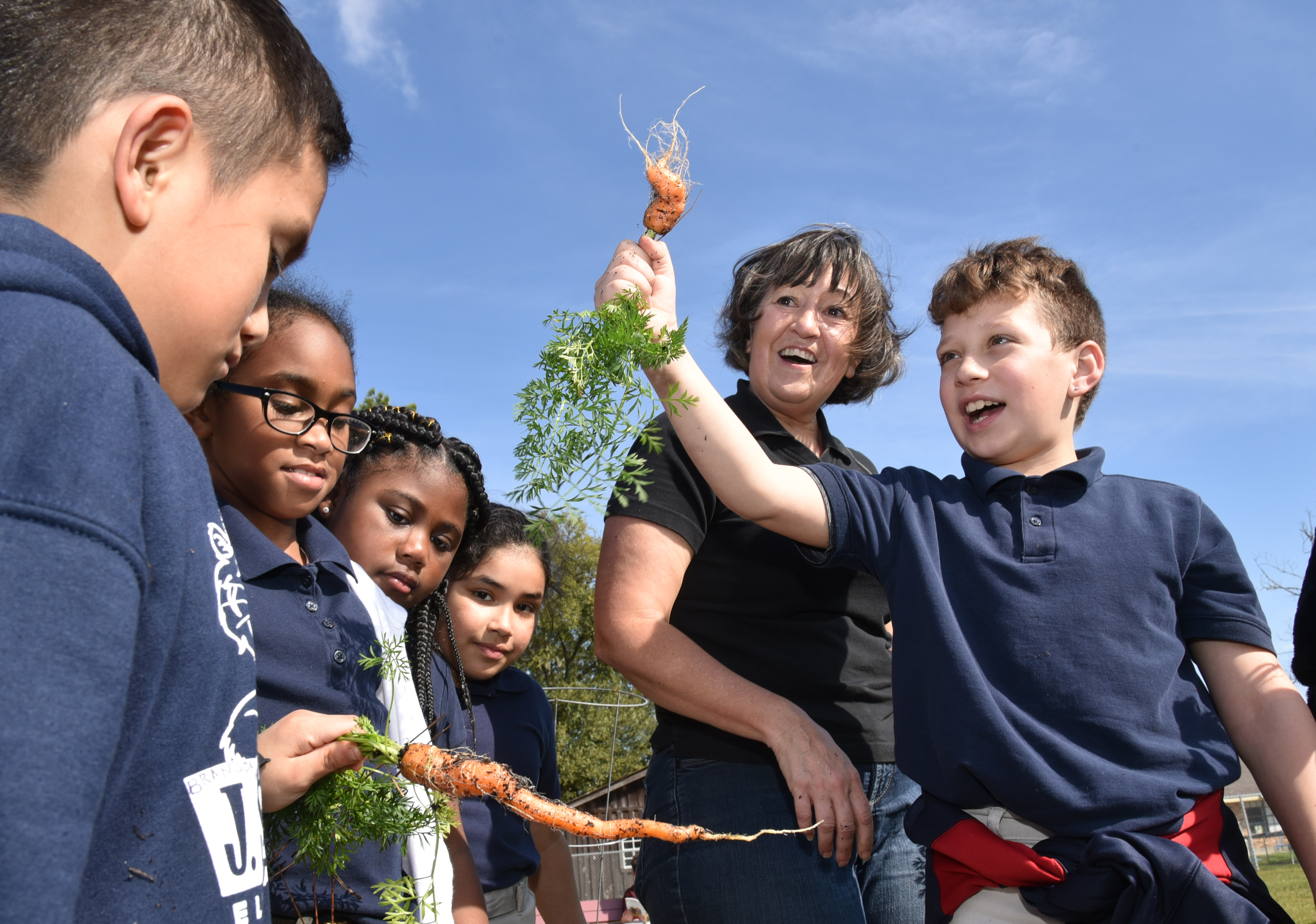 School garden encourages growing, eating produce 